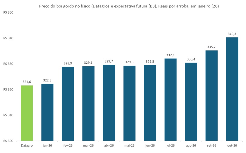 preço futuro do boi gordo