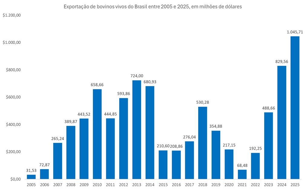 exportação de bovinos vivos