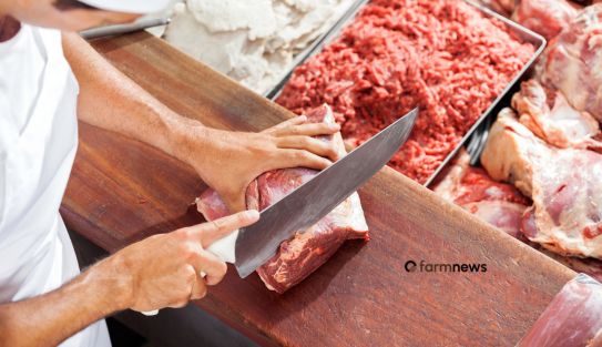 vendas de carne bovina