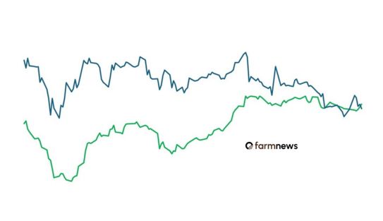 preço futuro do boi gordo
