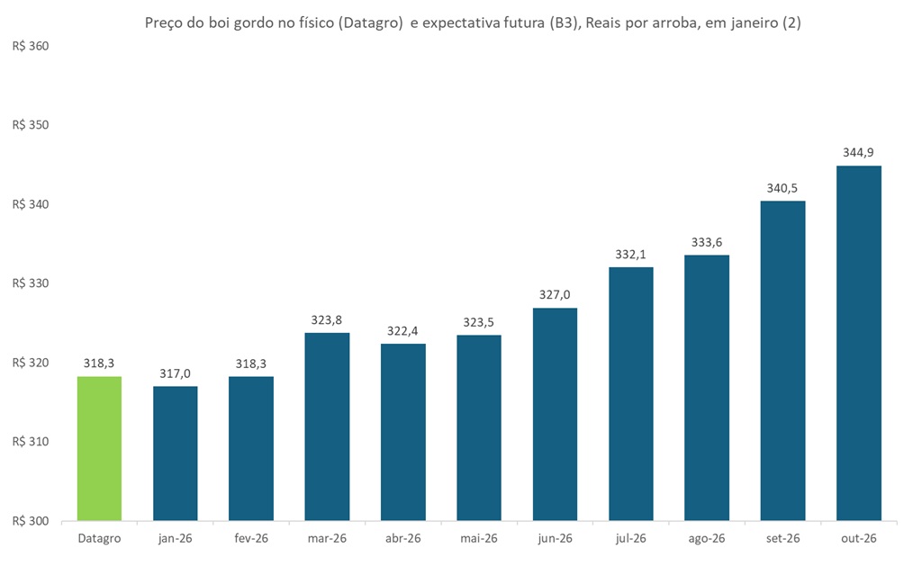 preço futuro do boi gordo