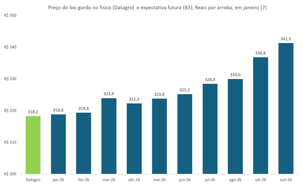 preço futuro do boi gordo