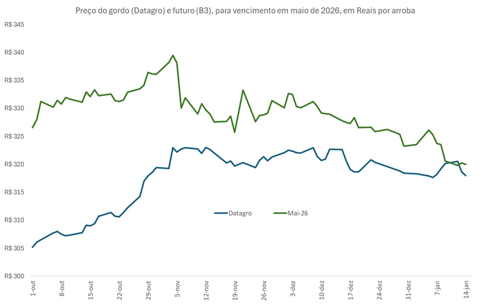 preço futuro do boi gordo