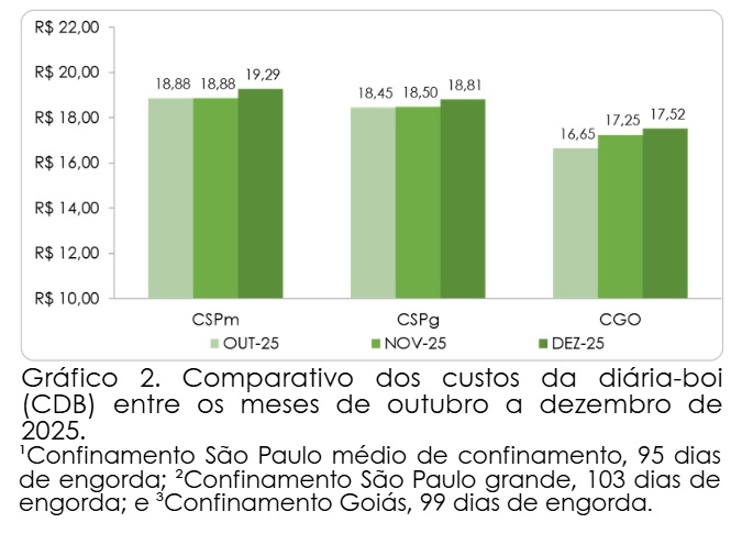 custo de produção de bovinos confinados