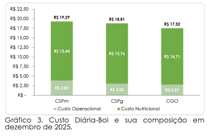 custo de produção de bovinos confinados