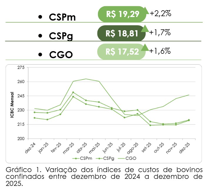 custo de produção de bovinos confinados