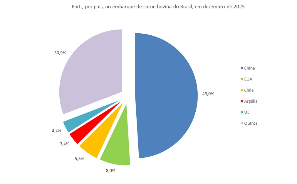 principais países importadores de carne bovina do Brasil