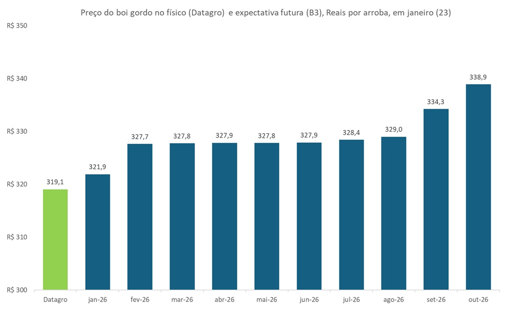 preço futuro do boi gordo