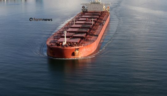 preço de importação de fertilizantes