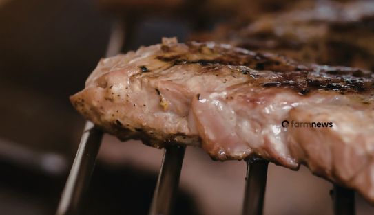 importação de carne bovina brasileira pela Argentina