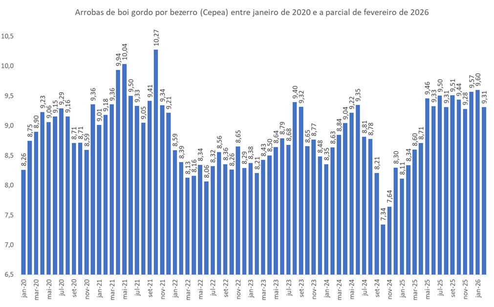 arrobas de boi gordo por bezerro