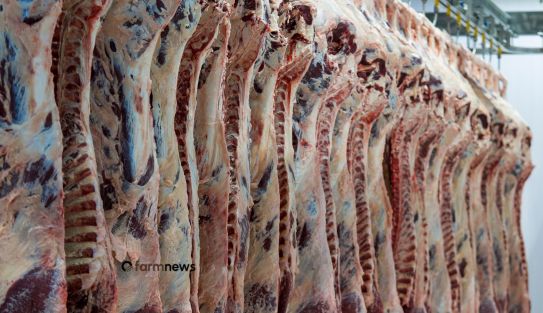 preço da carne bovina nos EUA