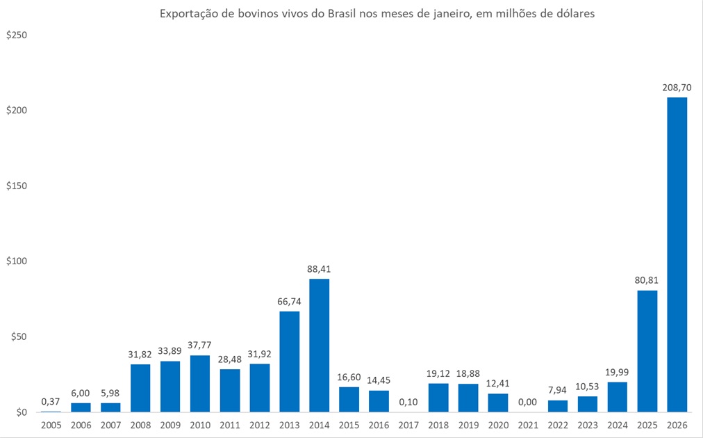 exportação de bovinos vivos
