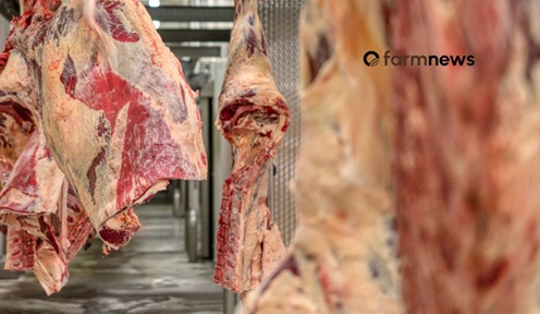 exportação de carne bovina