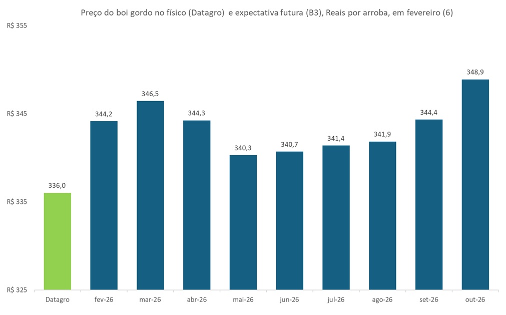 preço futuro do boi gordo