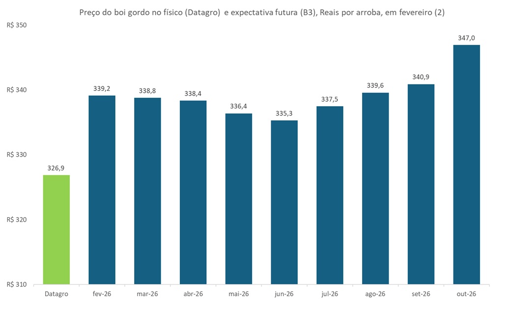 preço futuro do boi gordo