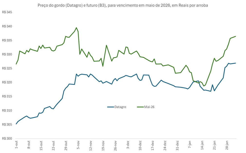 preço futuro do boi gordo