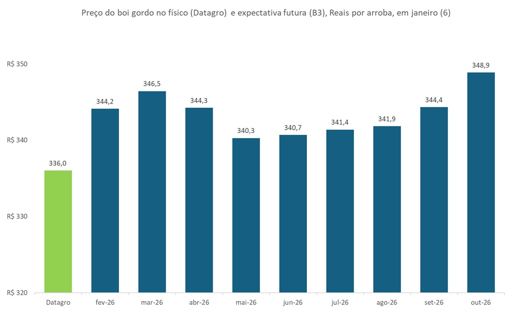 preço futuro do boi gordo