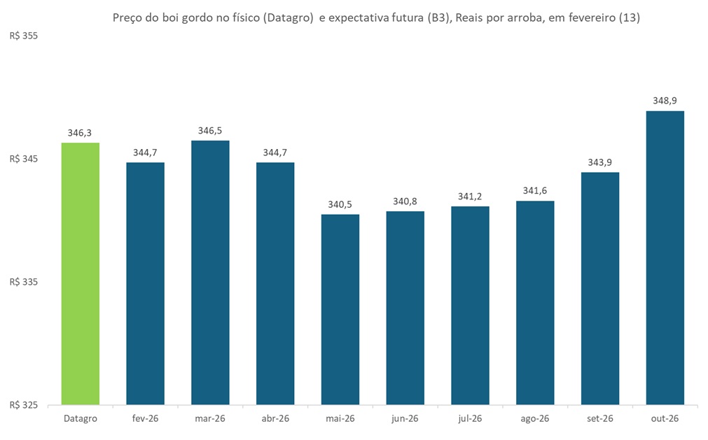 preço futuro do boi gordo