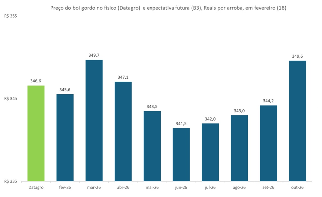 preço futuro do boi gordo