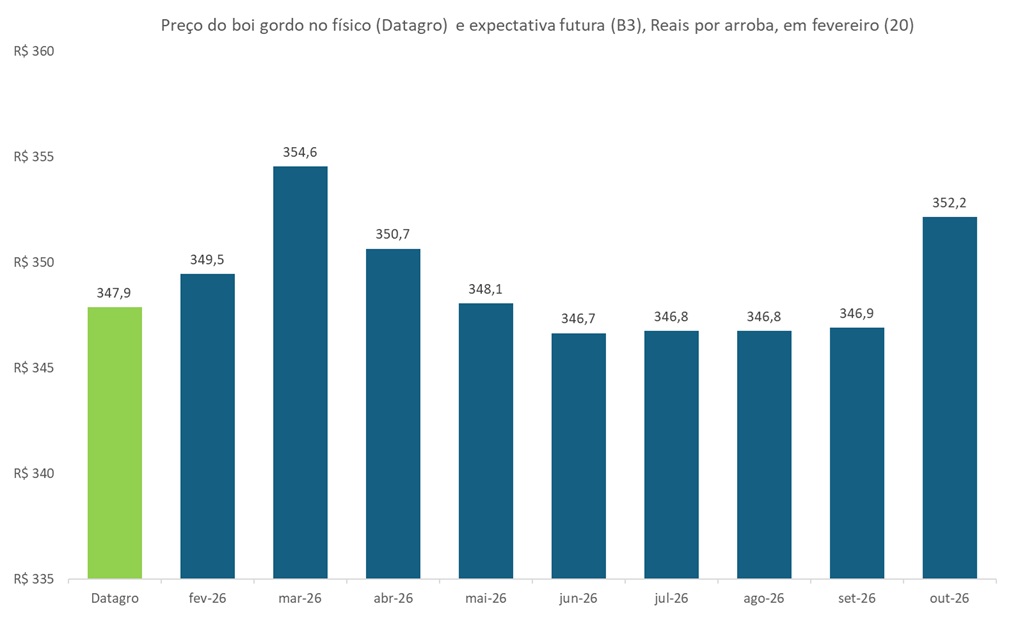 preço futuro do boi gordo
