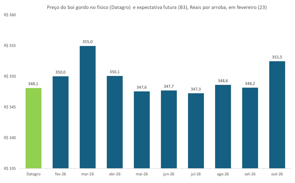 preço futuro do boi gordo