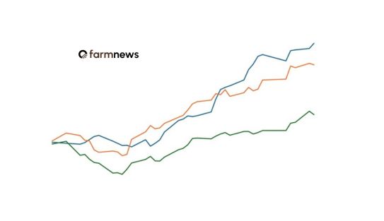 preço futuro do boi gordo