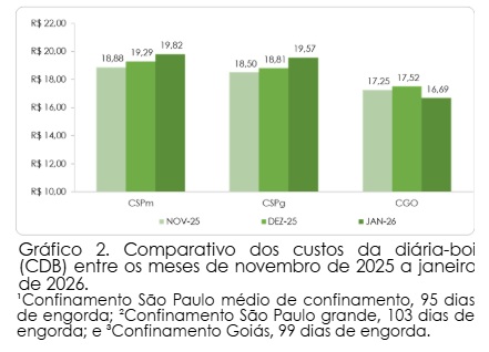custo da engorda de bovinos