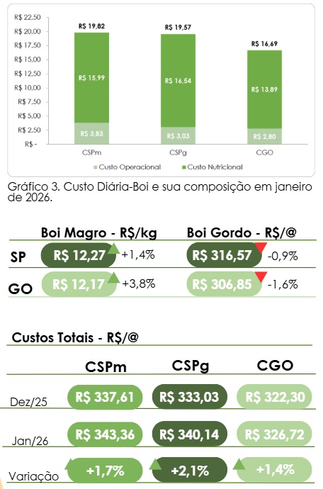 custo da engorda de bovinos confinados