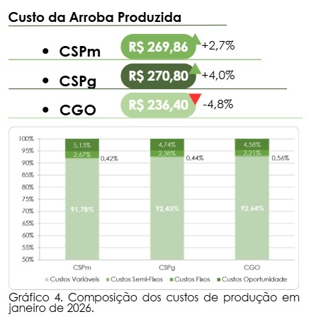 custo da engorda de bovinos confinados