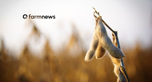 preço futuro da soja