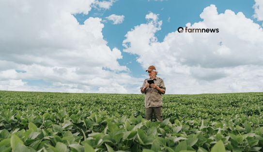 agricultura brasileira