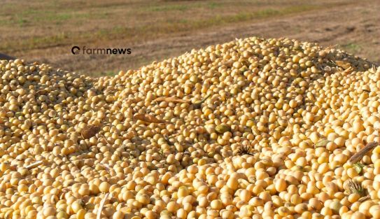preço da soja em dólares