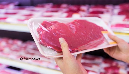 venda de carne bovina