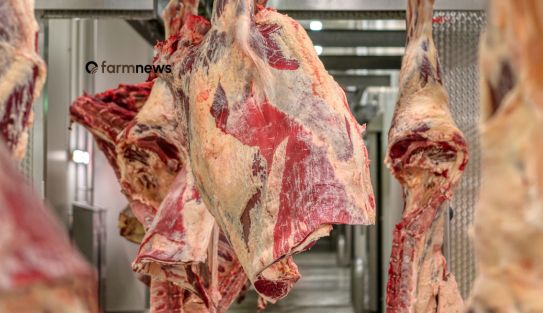 ágio da carne bovina exportada