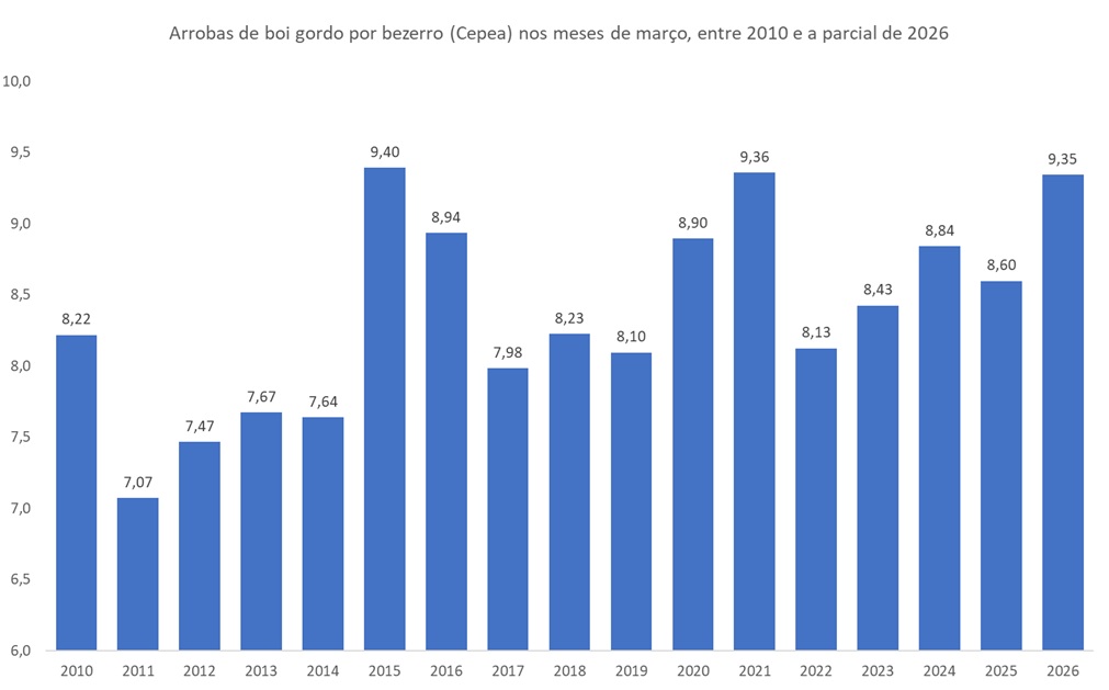 arrobas de boi gordo por bezerro