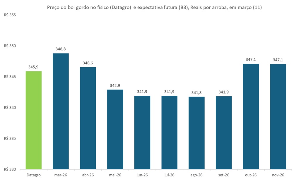 preço futuro do boi gordo