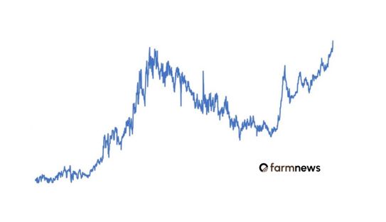 preço da arroba do bezerro