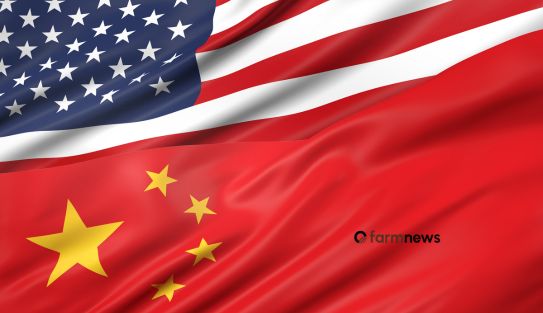 Importação de carne bovina do Brasil pela China e EUA: recorde para fevereiro, em 2026