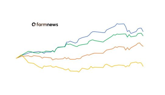 preço em dólares do boi gordo