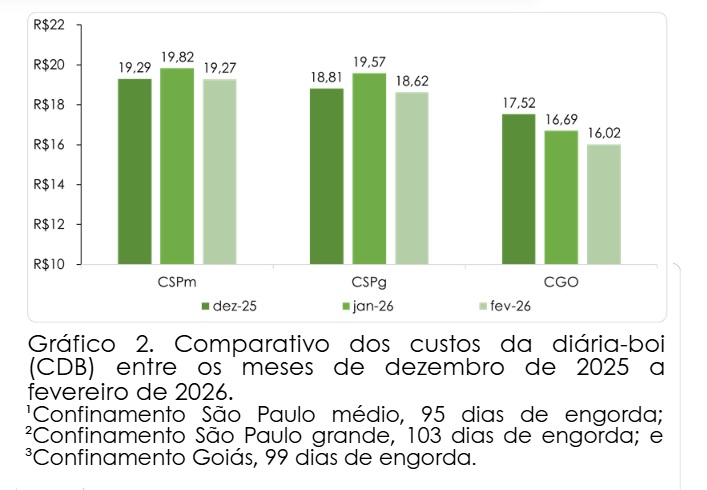 custo da engorda de bovinos confinados