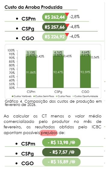 custo da engorda de bovinos confinados