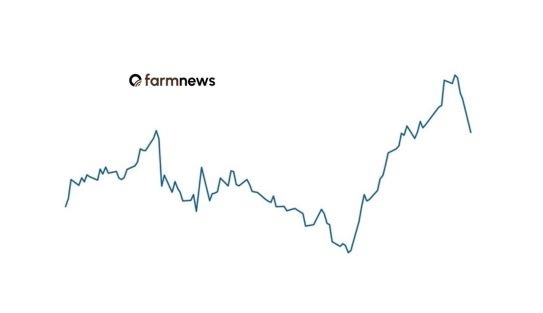 preço futuro do boi gordo