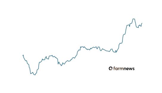preço futuro do boi gordo