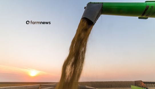 preço futuro da soja