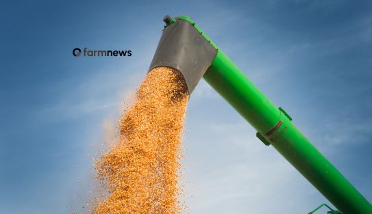 preço futuro do milho