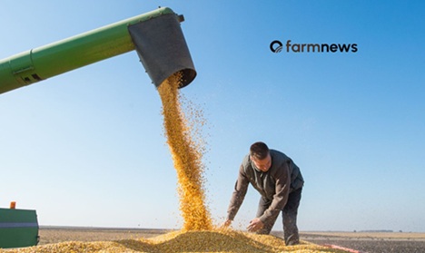 exportação de milho