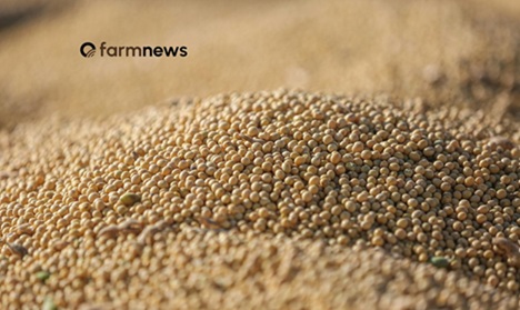 preço futuro da soja