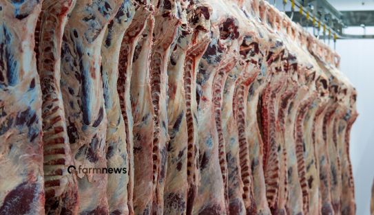 importação de carne bovina do Brasil para a Rússia