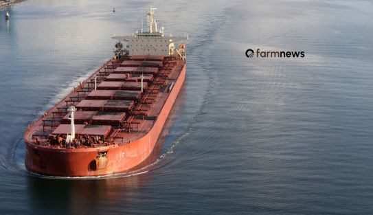 maiores importadores de fertilizantes para o Brasil